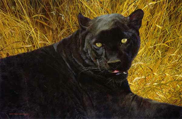 Reproductions of Carl Brenders Paintings Black Sphinx Reproductions of Carl Brenders Paintings Black Sphinx